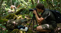 14 Best Wildlife Photography Books in 2026